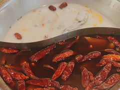 -麻田会 ·鲜活现烹·牛蛙火锅(珠江新城维家思广场店)