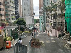 -香港大学