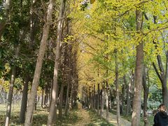 -洛阳市隋唐城遗址植物园