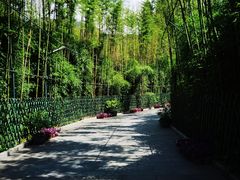 -万柳阁小馆·花园餐厅(龙潭湖店)