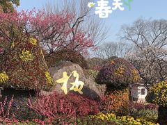 -无锡梅园公园