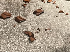 -巴人堂(女儿城店)