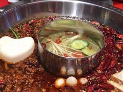 -谭鸭血老火锅(图书馆店)