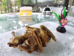 乳鸽-陶缘一号·四季缘·老字号顺德菜·户外婚礼家宴(西滘店)