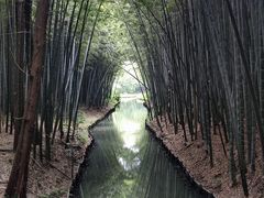 -同里国家湿地公园