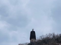-高尔山公园
