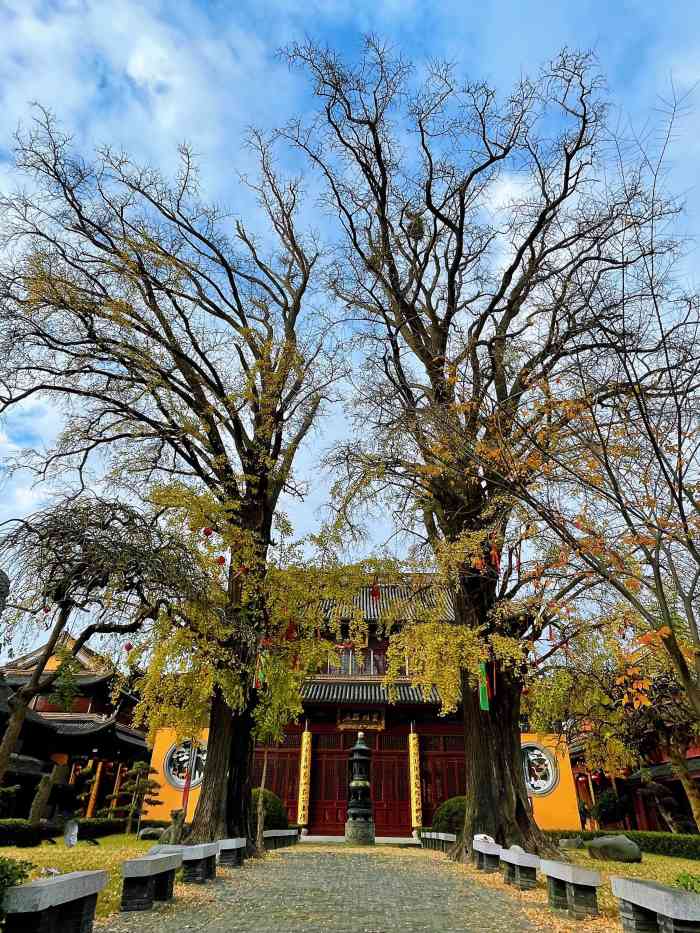 910人赞包子妈妈2022年3月6日打分郊区寺庙巡礼第十五站,位于青浦练塘