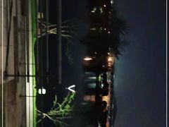 -羊山湖公园