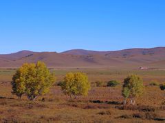 -塞罕坝国家级自然保护区