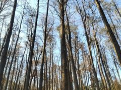 -共青国家森林公园-南大门停车场