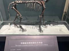 -大庆市博物馆
