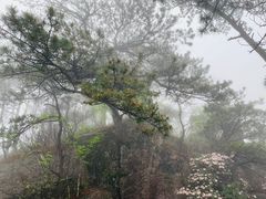 -萍乡武功山风景名胜区