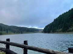 -武陵山森林公园