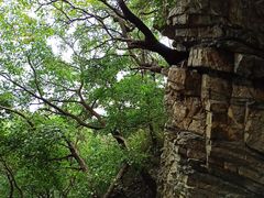 -大连金龙寺国家森林公园-售票处