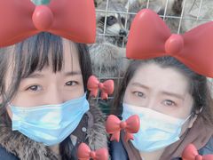 -北京鹿世界主题园