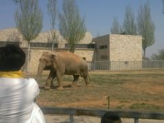 -石家庄市动物园