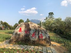 -广州市流溪河国家森林公园