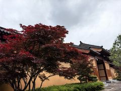 -习家池