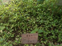 -广州神农草堂中医药博物馆