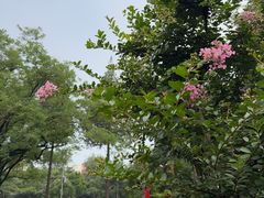 -双榆树公园