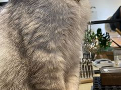-Oasis绿洲银饰珍珠手作diy(壹方城店)