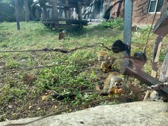 -大连森林动物园