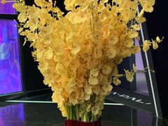 -PALA·PALA PARTY KTV(青悦城店)