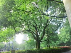 -苏州河梦清园环保主题公园