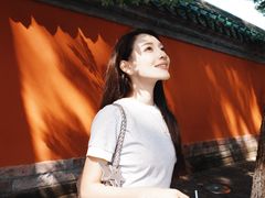 -北京国子监胡同