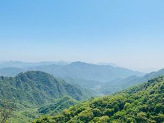 -大岭沟猕猴桃谷风景区