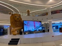 -棕榈MALL