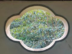 -雨花胜境