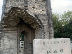 -上海佘山国家森林公园天马山园