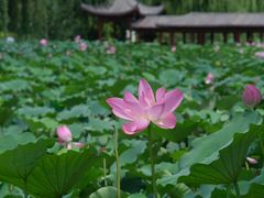 -云居湖