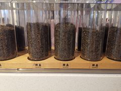 -喜茶(迪士尼小镇DP店)