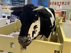 -红星前进面包牛奶公司(君太店)