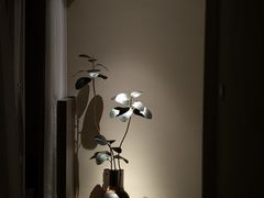 -木兰逸•泰式按摩•头疗•SPA(车公庙店)