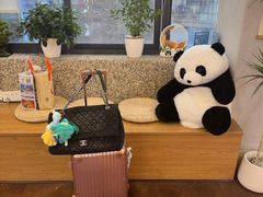 -国宝熊猫酒店(春熙路天府广场店)