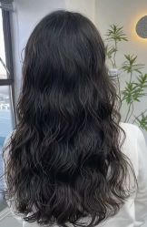 -环球蝶上美业连锁
