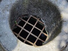 -上海佘山国家森林公园天马山园