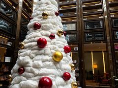 -行者书屋大堂吧 ·下午茶(南京圣和府邸酒店)