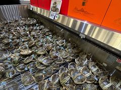 -洛阳郁金香牡丹园