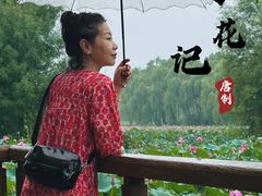 -东郊湿地公园