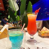 和鲨鱼共进晚餐是一种什么样的体验