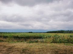 -野鸭湖国家湿地公园