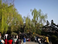 -西安青龙寺遗址景区