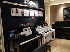 -雅歌音乐培训中心·钢琴培训·乐器培训(交道口店)