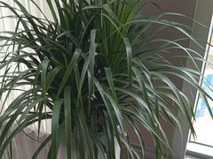 -映像威海·威海宴(威高广场店)