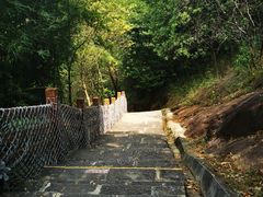 -广州白江湖森林公园