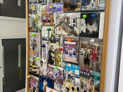 -青奢宠物·青奢猫舍